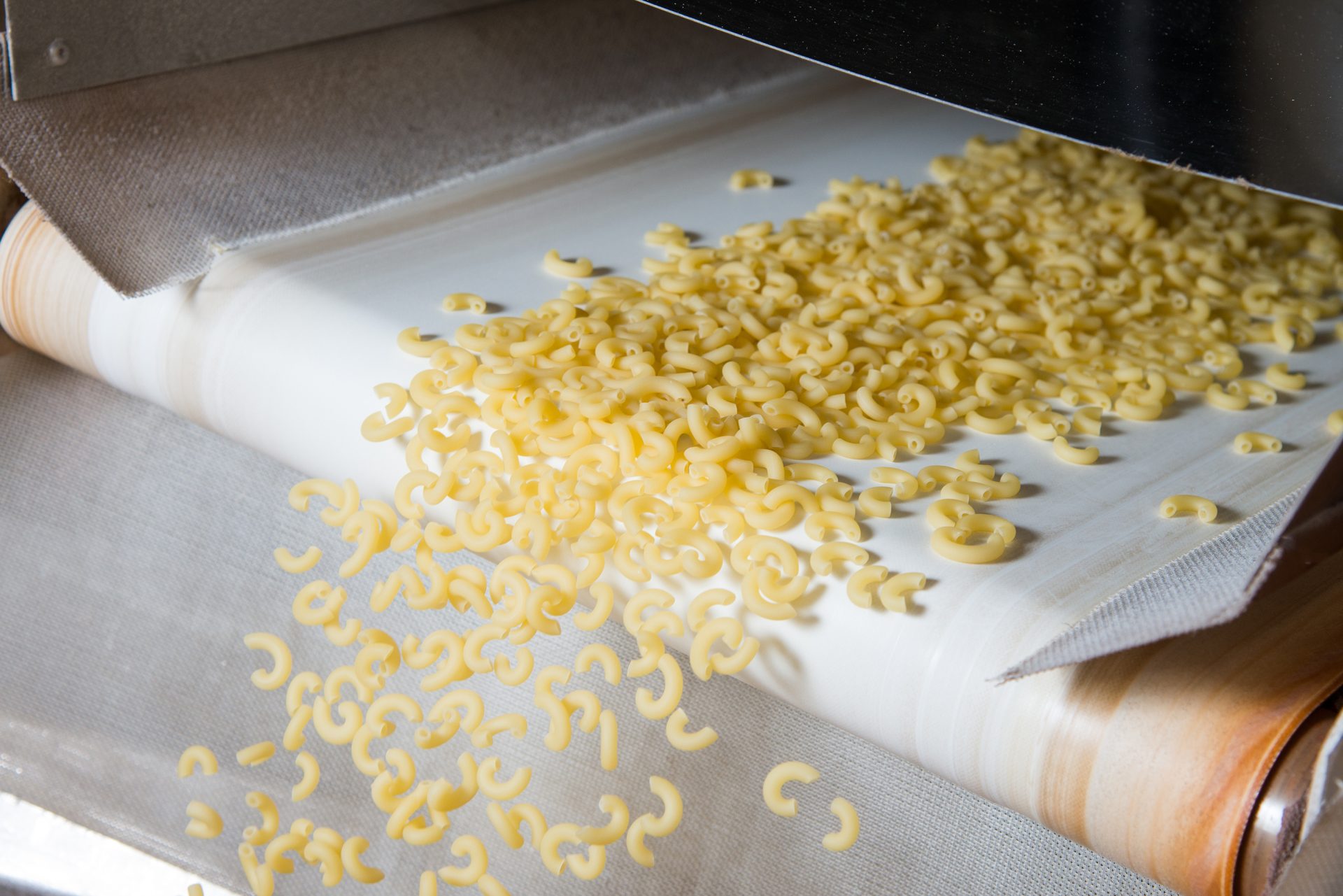 macaroni noodles with enhancing food processing efficiency with Colorado Mill Equipment's advanced machinery