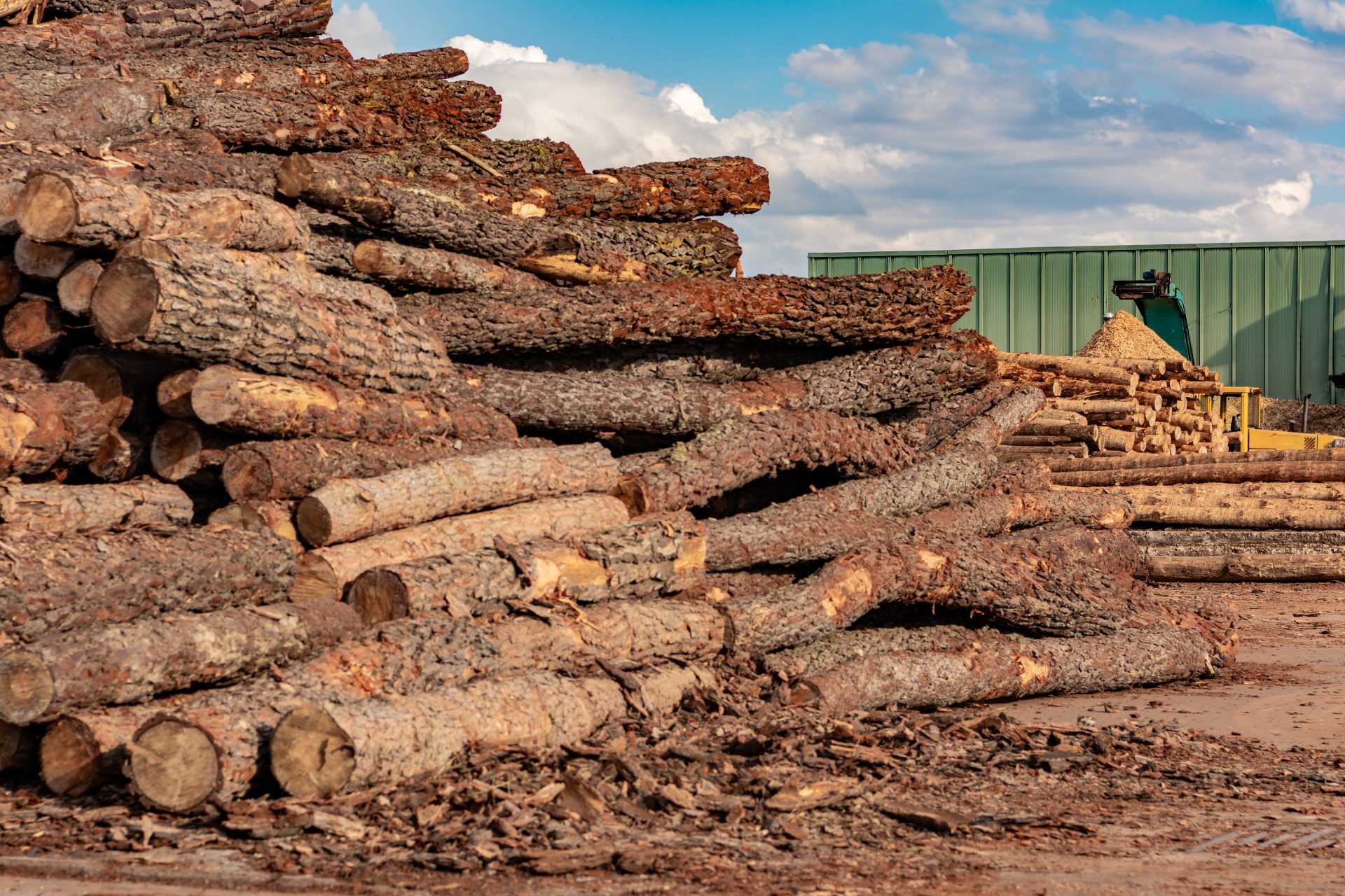 pile of wood. Wood Processing Industry Equipment | Colorado Mill Equipment