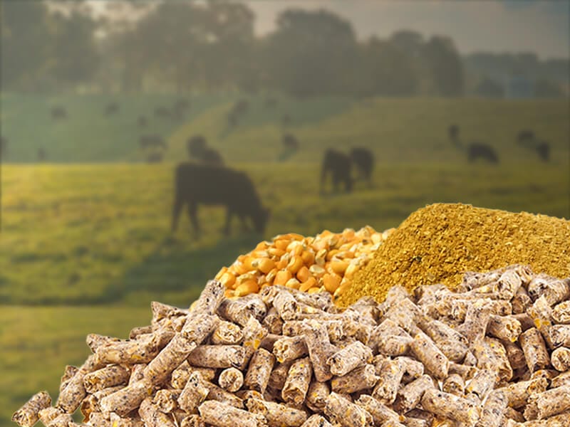 image of ground corn and wheat next to pellets in front of a field of livestock