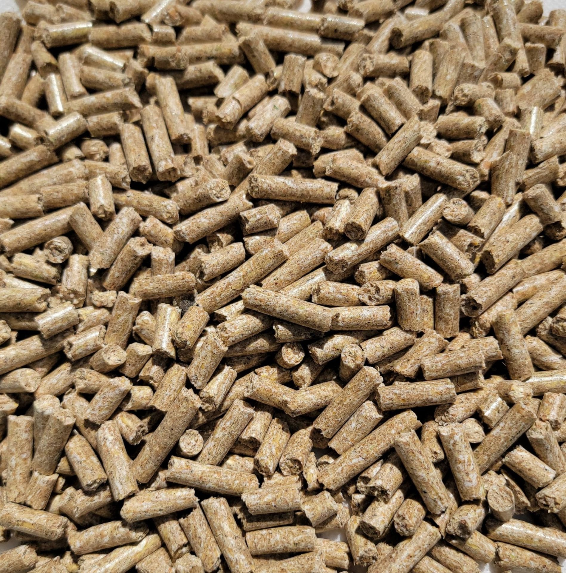 Animal Feed pellets made with the CME R200 pellet mill